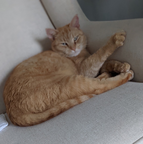 Meet your Posher, Andrew - Picture 1 of 1